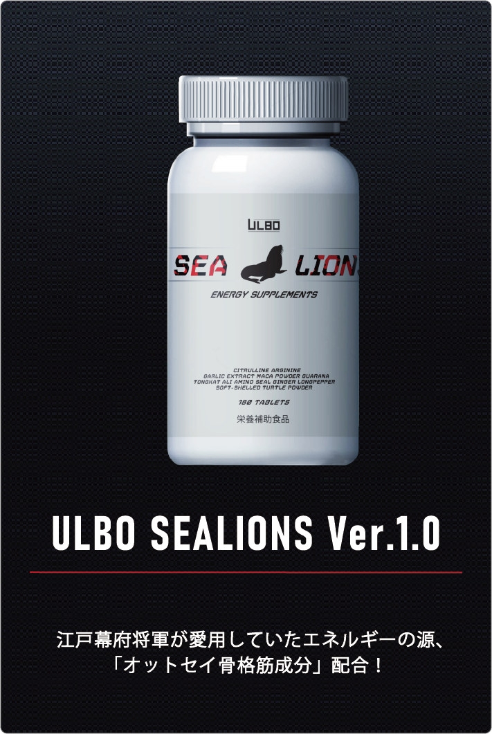 ULBO SEALIONS Ver1.0